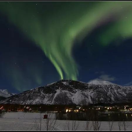 Homestay Lyngen Lodge *