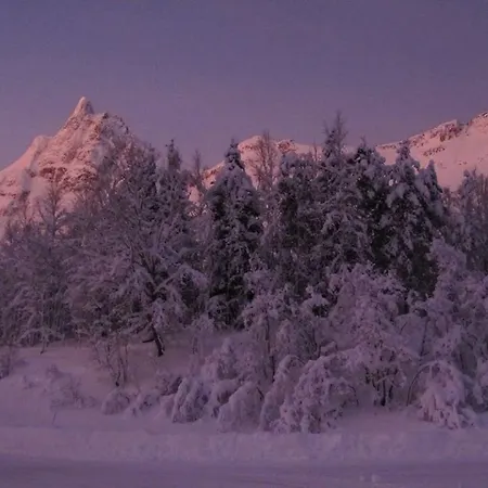 Homestay Lyngen * Sjursnes