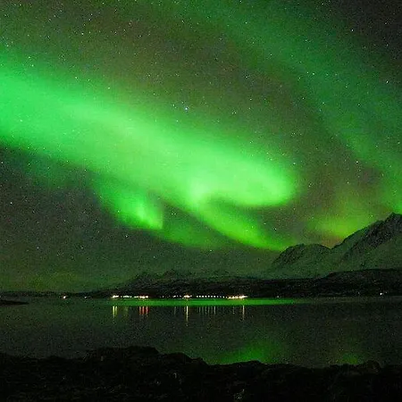 Homestay Lyngen * Sjursnes