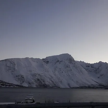 Homestay Lyngen Lodge